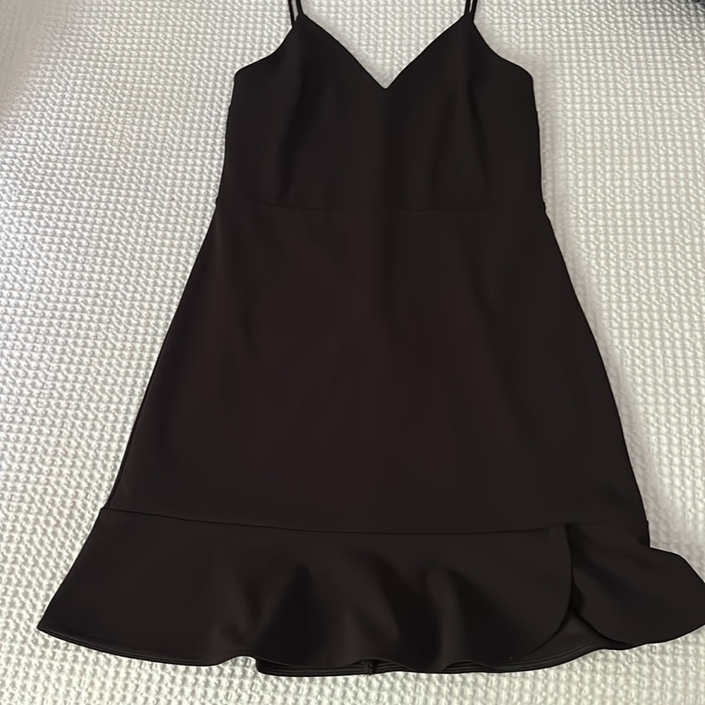 Express Dress - Picture 5 of 5